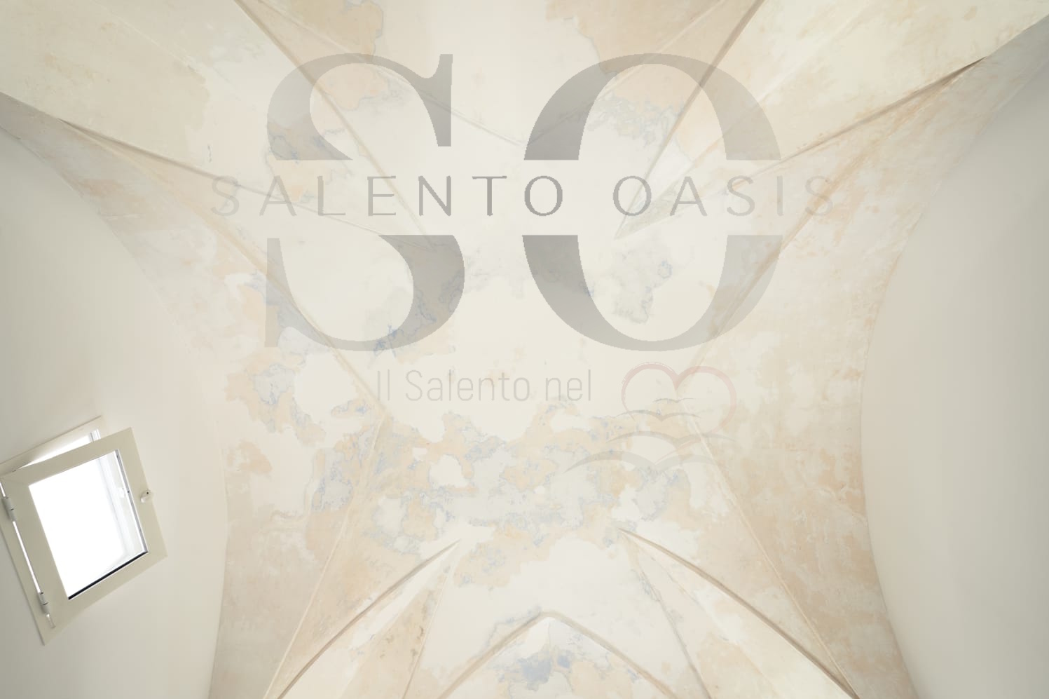 immagine di ORCHIDEA