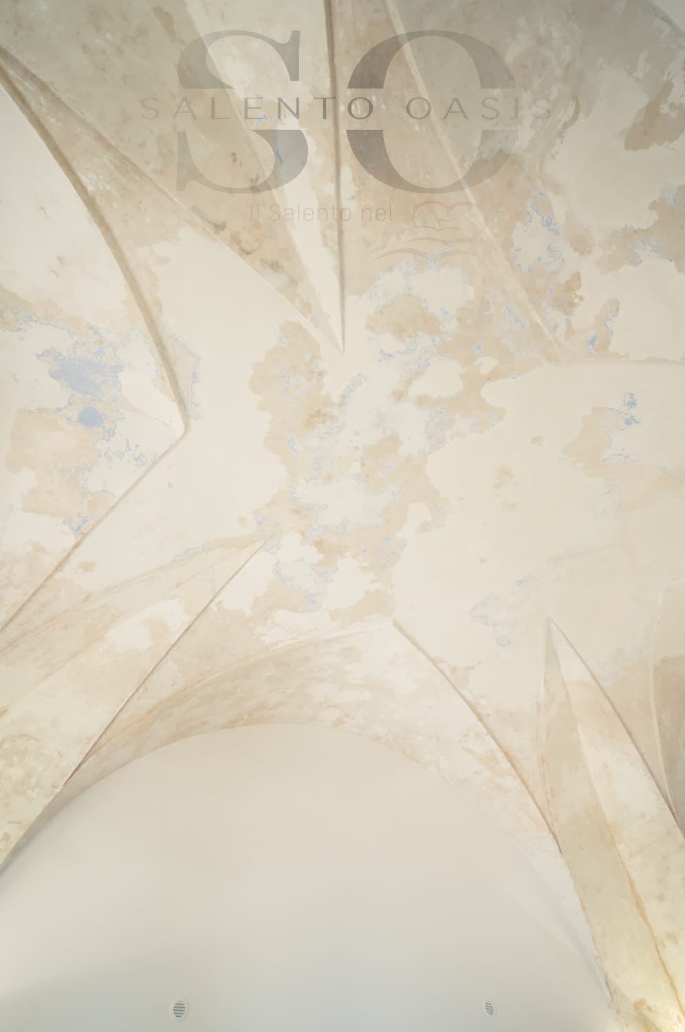 immagine di ORCHIDEA