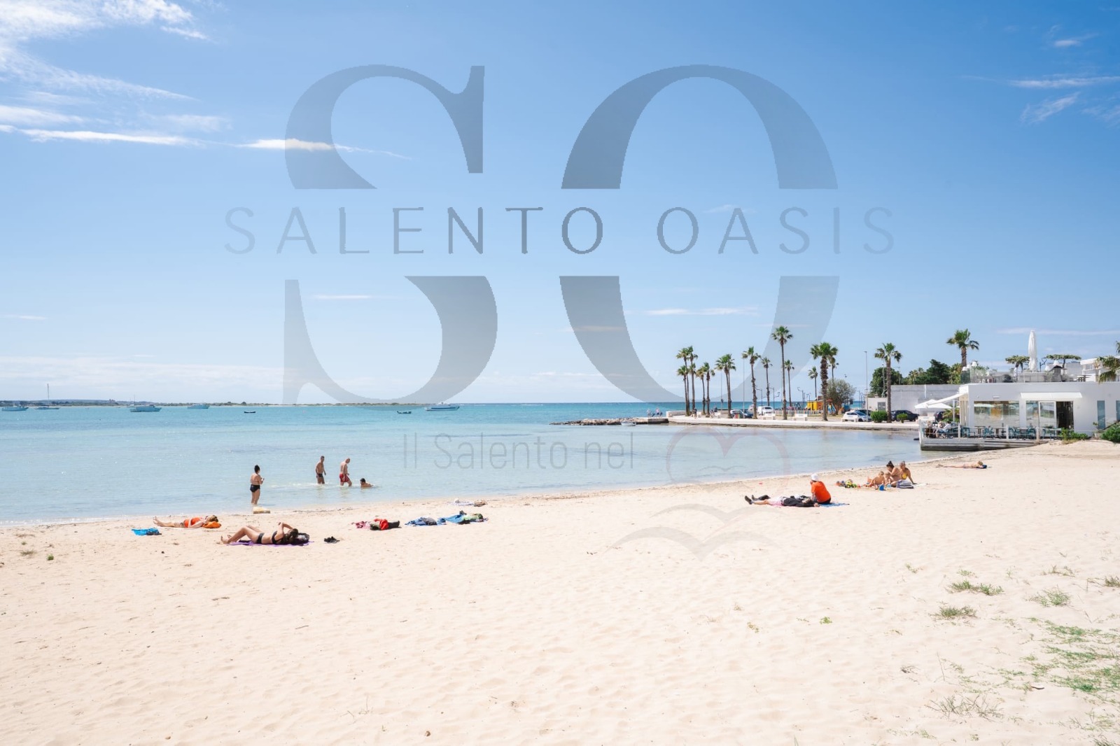 immagine di ORCHIDEA