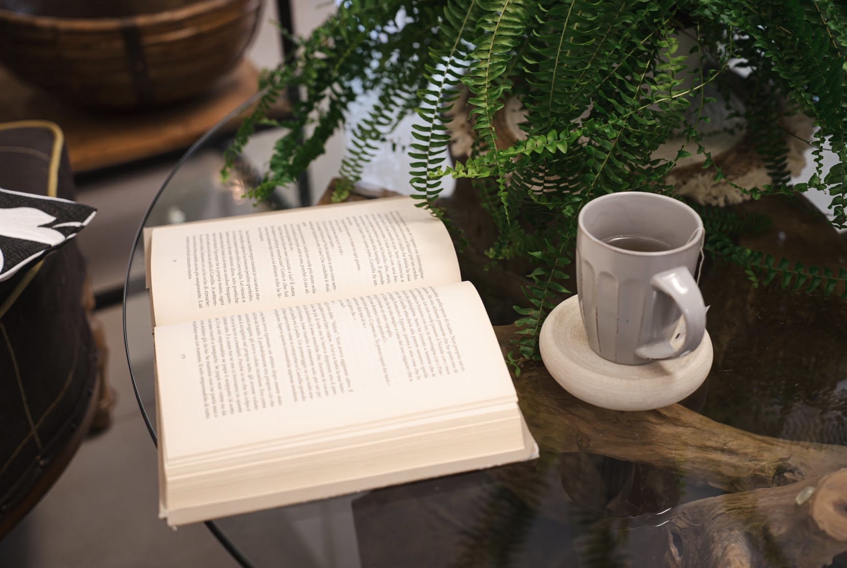 immagine di LA FONTANELLA