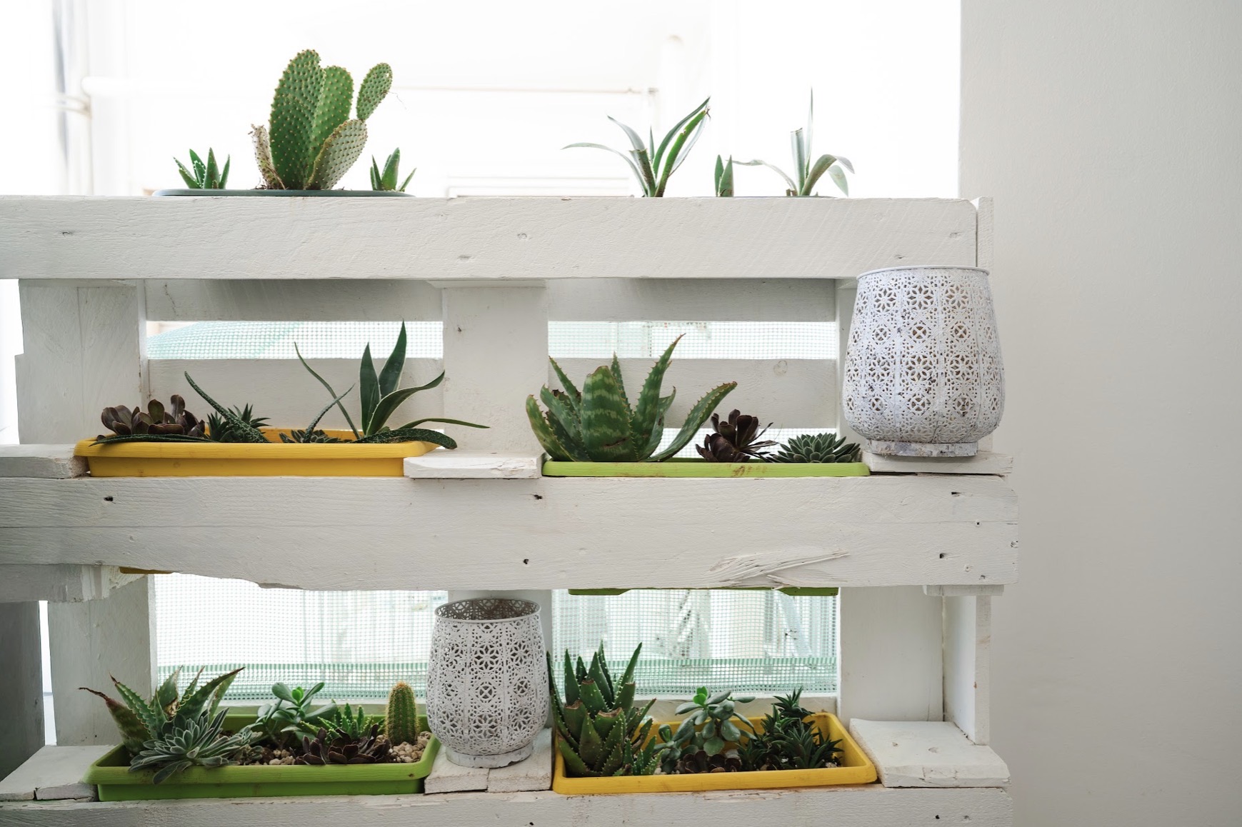 immagine di LA FONTANELLA